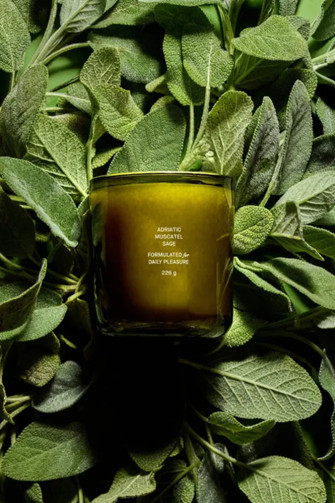 ADRIATIC MUSCATEL SAGE CANDLE