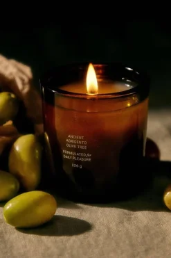 ANCIENT AGRIGENTO OLIVE TREE CANDLE