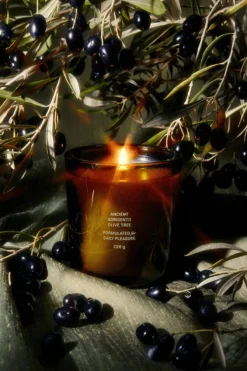 ANCIENT AGRIGENTO OLIVE TREE CANDLE
