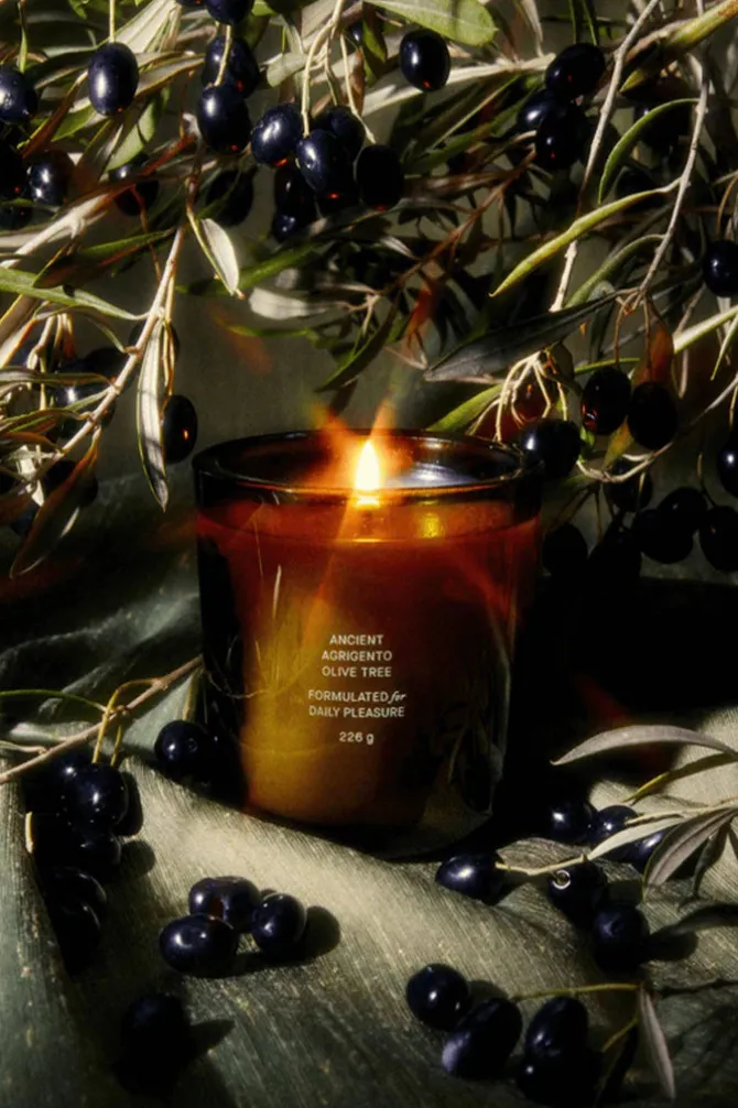 ANCIENT AGRIGENTO OLIVE TREE CANDLE