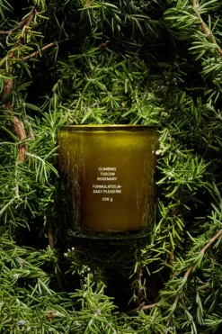 CLIMBING TUSCAN ROSEMARY CANDLE