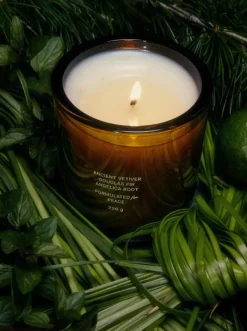 DOUGLAS FIR AND ANCIENT VETIVER CANDLE