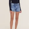 PARKER SHORTS DARK SWAPMEET