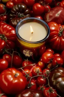 ROMA HEIRLOOM TOMATO CANDLE