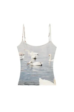 SWAN TANK
