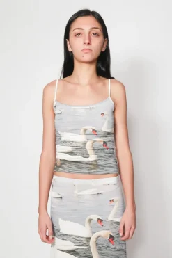 SWAN TANK