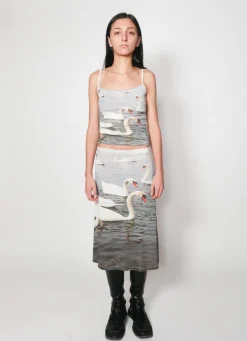 SWAN TANK