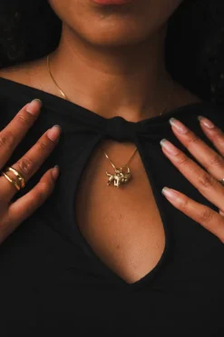 SYLVIE TOP