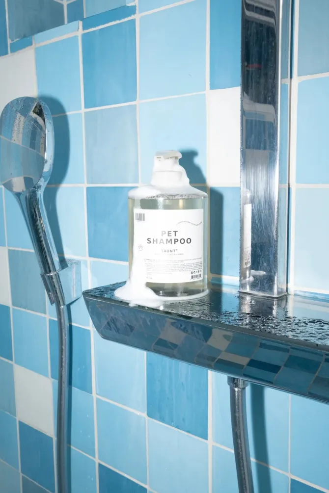TAUNT PET SHAMPOO