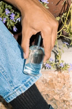 XTRA MILK FRAGRANCE
